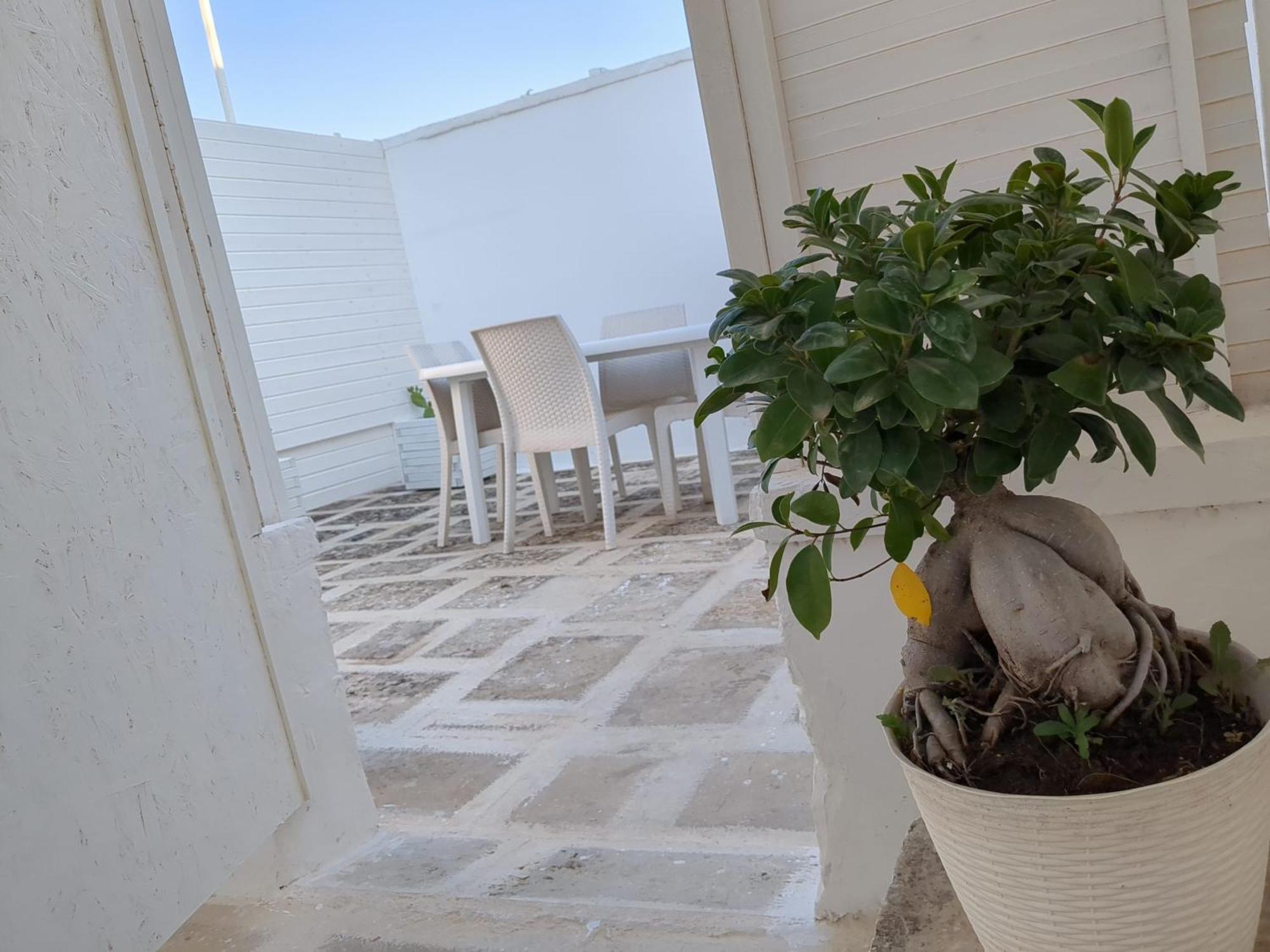 شقة Arcosalento غالاتينا الغرفة الصورة